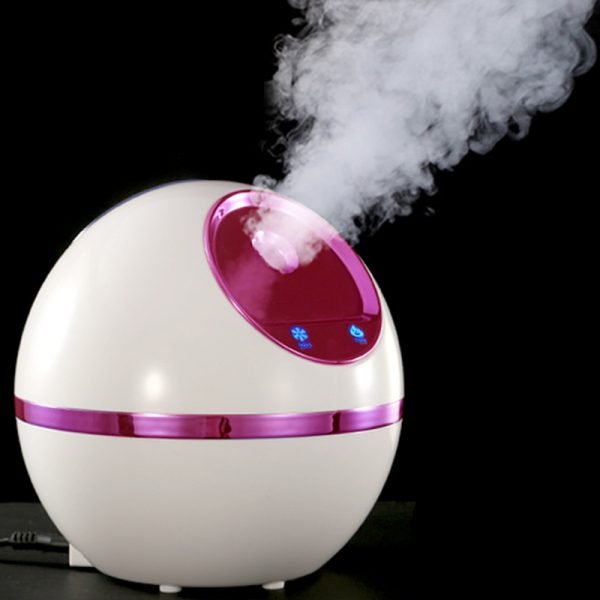Nano Ion Beauty Sprayer Facial Steamer